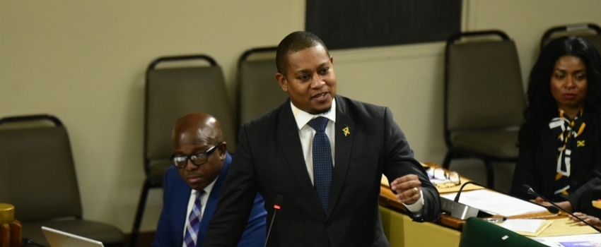 Minister of Agriculture, Fisheries and Mining, Hon. Floyd Green gives a statement in the House of Representatives on Tuesday (December 5).