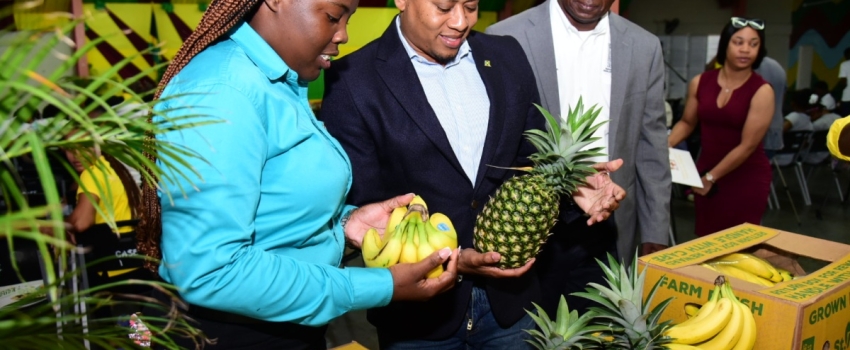 Minister of Agriculture, Fisheries and Mining, Hon. Floyd Green (centre) looks at agricultural produce during Day 1 of Founders' Weekend at the College of Agriculture, Science and Education (CASE) on Friday (January 26). With the Minister are (from left) President of the Guild of Students, Ashli-Ann Graham and Chief Technical Director in the Ministry, Orville Palmer.