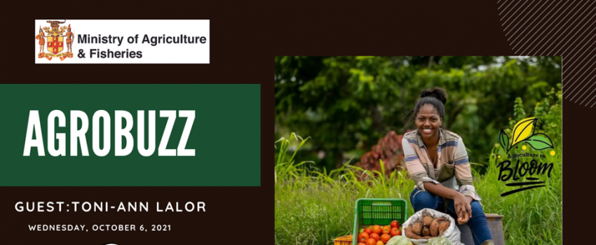 Agrobuzz Toni-Ann Lalor Farm Queen