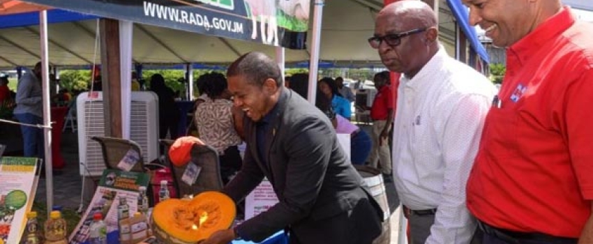 Minister of Agriculture, Fisheries and Mining, Hon. Floyd Green (left), lifts piece of a pumpkin on display at the launch of the 69th staging of the Denbigh Agricultural, Industrial and Food Show at the Hi-Pro Ace supercentre in St. Catherine on June 21. Observing are (from second left) Chief Technical Director in the Ministry, Orville Palmer and Vice President of Hi-Pro, Colonel (Ret’d) Jaimie Ogilvie.