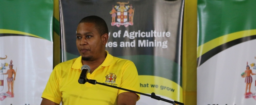 Minister of Agriculture, Fisheries and Mining, Hon. Floyd Green, delivers the keynote address during a national ‘Eat Jamaican Day’ ceremony at the College of Agriculture, Science and Education (CASE) in Portland on November 24.