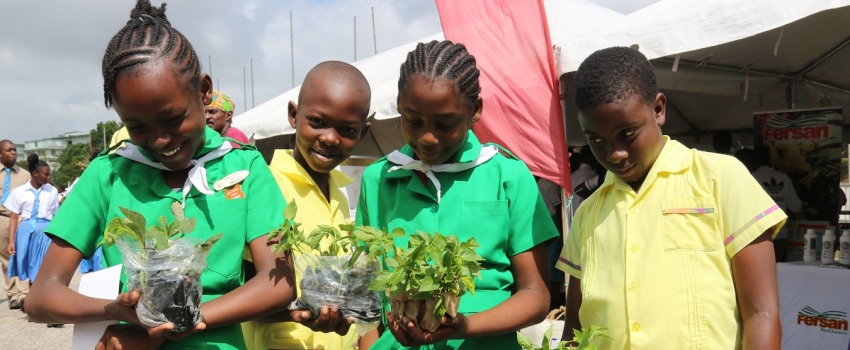Jamaica 4 H Clubs Inaugural National Youth In Agriculture Symposium Ministry Of Agriculture