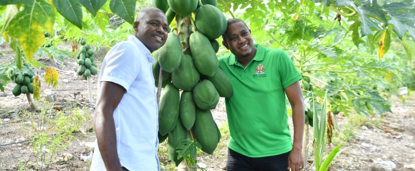 Minister of Agriculture, Fisheries and Mining, Hon. Floyd Green (right) and owner of ANR Farms Limited in Trelawny, Adrian Robinson share a moment during a tour of Mr. Robinson's farm on January 25, 2024.