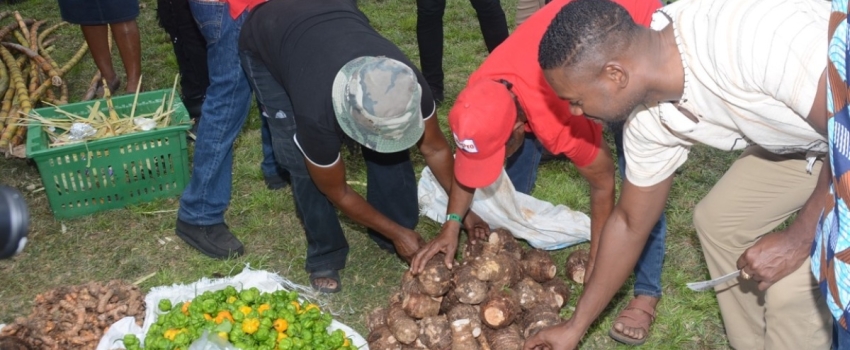 Mayor of Montego Bay and Chairman of the St. James Municipal Corporation, Councillor Richard Vernon (right), inspects produce on display during the 41st Montpelier Agricultural and Industrial Show on Easter Monday (April 1). The event was held at the Montpelier Show Ground in St. James.