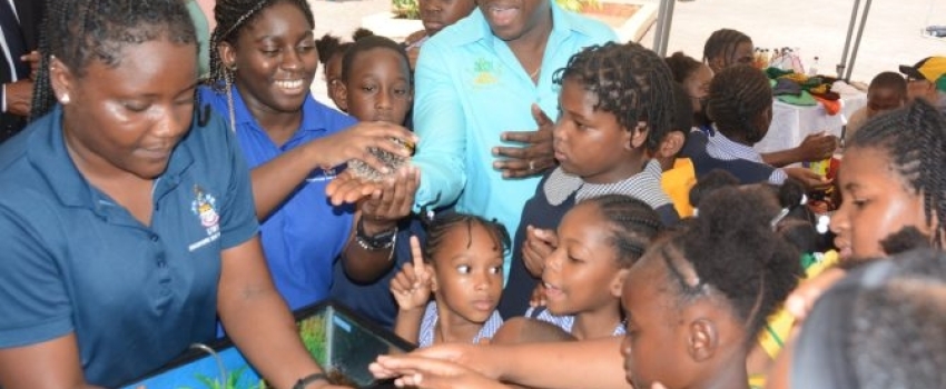 Minister of Agriculture and Fisheries, Hon. Pearnel Charles Jr. (centre), joins students viewing sea urchins during the St. Ann 4-H Clubs Achievement Day exposition at Brown’s Town Primary School in the parish, on Thursday (March 30). Assisting them are Outreach Officer at the Discovery Bay Marine Lab, Trudy-Ann Campbell (left), and Intern at the facility, Calese Hare (second left).