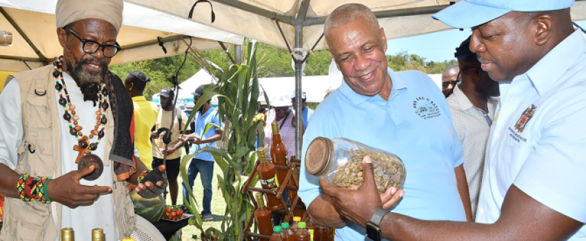 Minister of Agriculture and Fisheries, Hon. Pearnel Charles Jr. (right), looks at a glass jar containing cannabis with President of the St. Ann Association of Branch Societies of the Jamaica Agricultural Society (JAS), Donald Robinson (centre). The Minister was visiting the booth of herbalist and ganja farmer, Ras Amin Ra (left) at the St. Ann Association of Branch Societies’ Agricultural, Industrial and Food Show, held at the Port Rhoades Sports Complex, Discovery Bay, St. Ann on Friday (April 28).