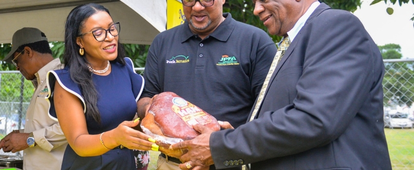 State Minister for Agriculture, Fisheries and Mining, Hon. Franklin Witter (right) and President of the Jamaica Pig Farmers Association (JPFA), Hanif Brown (centre), look at pork products being shown to them by Business Development Manager at meat processing company Nation Choice, Stacey Campbell. The occasion was the launch of the Jamaica Pig Farmers Association ‘Pork Jamaica’ campaign at the Ministry's Hope Gardens complex in St. Andrew on Tuesday (November 28).