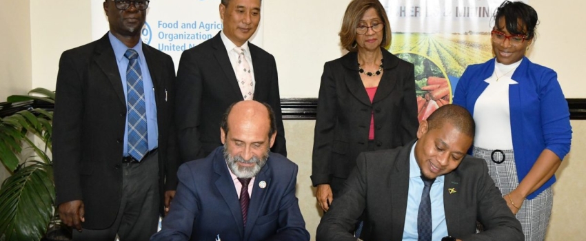 Minister of Agriculture, Fisheries and Mining, Hon. Floyd Green (right) and Food and Agriculture Organization (FAO) of the United Nations Representative for Jamaica, The Bahamas and Belize, Dr. Crispim Moreira (left) sign the letter of agreement for improving Rural Livelihoods Through Resilient Agri-Food Systems project during the launch ceremony held on October 3 at the Jamaica Pegasus hotel in New Kingston. Observing the proceedings are  (from left, back row): Chief Executive Officer, Rural Agricultural D