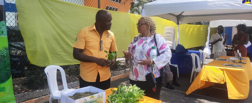 Land Management Officer at the Rural Agricultural Development Authority, Robert Tulloch (left), with Compost Expo patron, Carolyn Stewart. The Expo was held at the National Solid Waste Management Authority’s head office in Kingston on May 12.