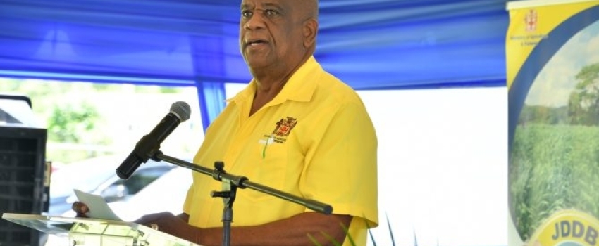 State Minister in the Ministry of Agriculture, Fisheries and Mining, Hon. Franklin Witter, delivers the keynote address at a ceremony to commemorate World Milk Day on Thursday (June 1) at the Sydney Pagan STEM Academy in St Elizabeth.