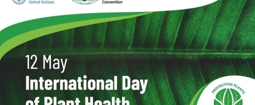 The Ministry of Agriculture & Fisheries joins the world in commemorating International Day of Plant Health 2023 under the theme “Plant Health for Environmental Protection”.