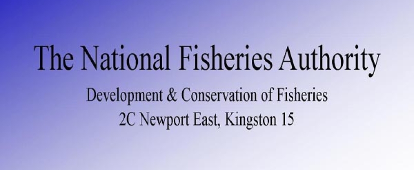 The National Fisheries Authority