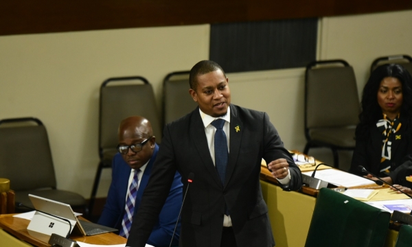Minister of Agriculture, Fisheries and Mining, Hon. Floyd Green gives a statement in the House of Representatives on Tuesday (December 5).