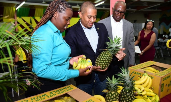 Minister of Agriculture, Fisheries and Mining, Hon. Floyd Green (centre) looks at agricultural produce during Day 1 of Founders' Weekend at the College of Agriculture, Science and Education (CASE) on Friday (January 26). With the Minister are (from left) President of the Guild of Students, Ashli-Ann Graham and Chief Technical Director in the Ministry, Orville Palmer.