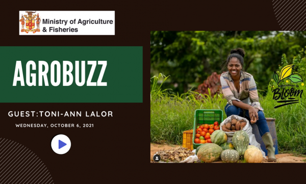 Agrobuzz Toni-Ann Lalor Farm Queen