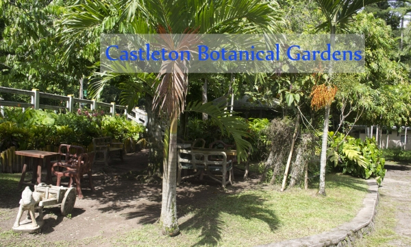 Castleton Botanical Gardens