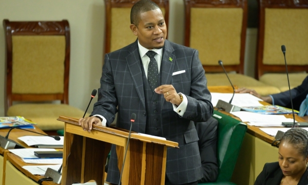 Minister of Agriculture, Fisheries and Mining, Hon. Floyd Green makes his contribution to the 2024/25 Sectoral Debate in the House of Representatives on May 21.