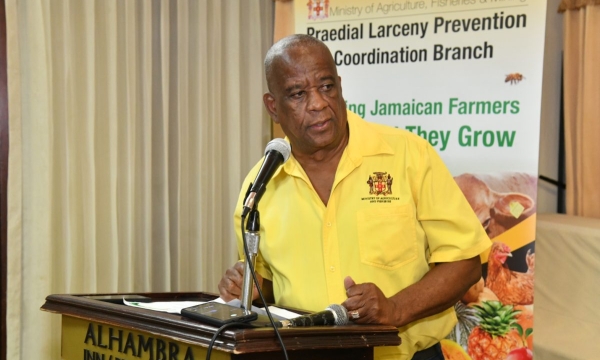 Minister of State in the Ministry of Agriculture, Fisheries and Mining, Hon. Franklin Witter addresses a Praedial Larceny Prevention Sensitization session on October 5 at the Alhambra Inn in Kingston.
