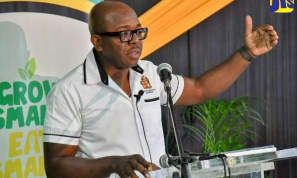 Minister of Agriculture and Fisheries, Hon. Pearnel Charles Jr., addressing a media briefing held at the Ministry’s offices in Kingston on February 10.