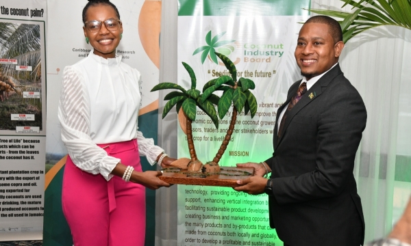 Minister of Agriculture, Fisheries and Mining, Hon. Floyd Green (right), accepts a sculpture of coconut trees from Coconut Technician/Project Coordinator, Caribbean Agricultural Research and Development Institute (CARDI), Desireina Delancy, at the opening of the regional training workshop on Sustainable and Resilient Coconut Production within a Changing Climate, held at The Jamaica Pegasus hotel in New Kingston, on Monday (March 4).