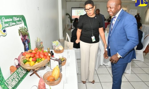 Outgoing Minister of Agriculture and Fisheries, Hon. Pearnel Charles Jr. (right), is shown a display of locally produced items by event facilitator and chair, Hedda Rose Dunkley, during the opening ceremony for the United Nations Food and Agriculture Organization (FAO)-hosted Bridging Organizations and Networks Development (BOND) Learning Guide for Trainers Workshop, on Monday (May 22) at the Medallion Hall Hotel in Kingston.