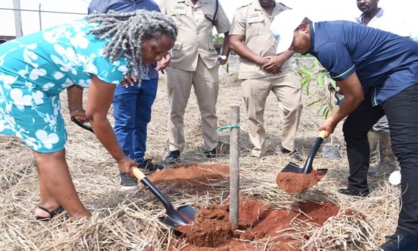 Minister of Agriculture, Fisheries and Mining, Hon. Floyd Green (right) and Principal of Newell High School, Audrey Ellington, prepare to plant a mango tree as part of the expanded National School garden Programme, which was launched during a World Food Day ceremony at the institution in St. Elizabeth on Thursday (October 19).