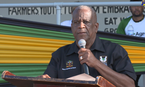 Minister of State in the Ministry of Agriculture and Fisheries, Hon. Franklyn Whitter, addresses the opening ceremony of the 66th Hague Agricultural Show, which was held in Trelawny on Ash Wednesday, February 22.
