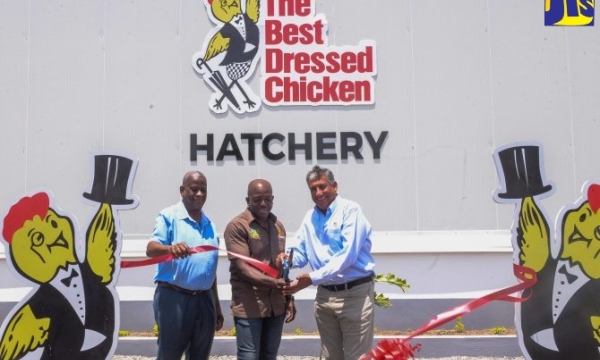 Minister of Agriculture and Fisheries, Hon. Pearnel Charles Jr. (centre) and Group President and Chief Executive Officer of Jamaica Broilers Group, Christopher Levy (right), cut the ribbon to mark the official reopening of Best Dressed Chicken’s Cumberland Hatchery in Portmore, St. Catherine, on Wednesday (May 10). Assisting is Minister of State in the Ministry of Agriculture and Fisheries, Hon. Franklin Witter. The reopening followed an almost $200-million upgrade of the facility, which has increased capac