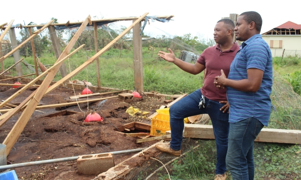 Minister of Agriculture, Fisheries and Mining, Hon. Floyd Green (right) is shown what remains of one of the poultry houses owned by the owner of Sandy Ridge Farms Ltd, Christopher Blake, during a tour of farms and agricultural infrastructure in St. Elizabeth on Saturday, July 6, to assess the damage from Hurricane Beryl.