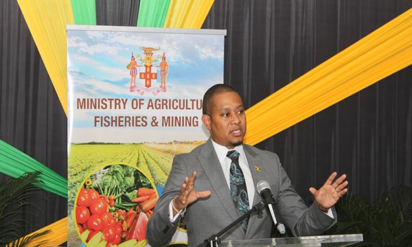 Minister of Agriculture, Fisheries and Mining, Hon. Floyd Green, speaking during a press briefing held at the Ministry's Hope Complex Office on January 31. 