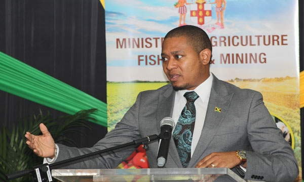 Minister of Agriculture, Fisheries and Mining, Hon. Floyd Green, speaking during a press briefing held at the Ministry's Hope Complex Office on January 31. 