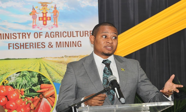 Minister of Agriculture, Fisheries and Mining, Hon. Floyd Green, speaking during a press briefing held at the Ministry's Hope Complex Office on January 31.