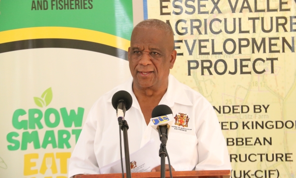 Minister of State in the Ministry of Agriculture and Fisheries, Hon. Franklin Witter, speaking at the Essex Valley Agriculture Development Project (EVADP) community consultation held at the Comma Pen Church of God in St. Elizabeth on November 24, 2022.