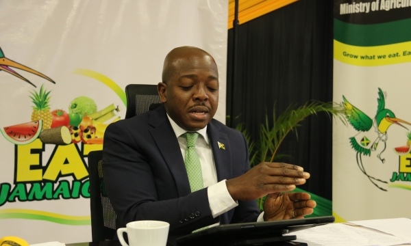 Minister of Agriculture and Fisheries, Pearnel Charles Jr, speaking at the virtual Jamaica Blue Mountain Coffee Day event