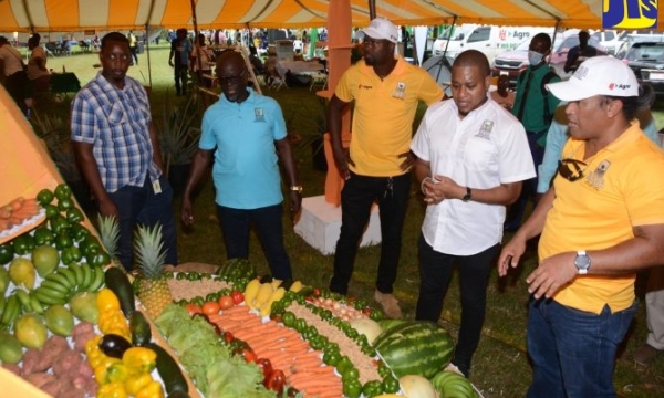 Minister of Agriculture, Fisheries and Mining, Hon. Floyd Green (second right), observes a fruit and vegetable display at the Rural Agricultural Development Authority (RADA) St. Elizabeth Open Day Agrifest at the Social Development Commission (SDC) complex in Santa Cruz, on June 9. Also looking on are (from left) Director of Minerals, Land and Environmental Management in the Ministry, Dorlan Burrell; RADA Acting Chief Executive Officer, Winston Simpson; RADA St. Elizabeth Deputy Parish Manager, Jermaine Wil