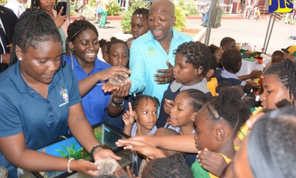 Minister of Agriculture and Fisheries, Hon. Pearnel Charles Jr. (centre), joins students viewing sea urchins during the St. Ann 4-H Clubs Achievement Day exposition at Brown’s Town Primary School in the parish, on Thursday (March 30). Assisting them are Outreach Officer at the Discovery Bay Marine Lab, Trudy-Ann Campbell (left), and Intern at the facility, Calese Hare (second left).