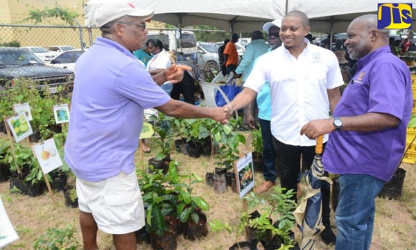 Minister of Agriculture, Fisheries and Mining, Hon. Floyd Green (second right), greets Farmer, Paul Lee (left), while Permanent Secretary in the Ministry, Dermon Spence (right), looks on. Occasion was the Rural Agricultural Development Authority’s (RADA) St. Elizabeth ‘Agrifest’ at the Social Development Commission (SDC) Complex in Santa Cruz, St. Elizabeth, on June 9.