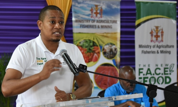 Minister of Agriculture, Fisheries and Mining, Hon. Floyd Green