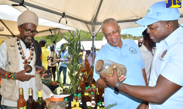 Minister of Agriculture and Fisheries, Hon. Pearnel Charles Jr. (right), looks at a glass jar containing cannabis with President of the St. Ann Association of Branch Societies of the Jamaica Agricultural Society (JAS), Donald Robinson (centre). The Minister was visiting the booth of herbalist and ganja farmer, Ras Amin Ra (left) at the St. Ann Association of Branch Societies’ Agricultural, Industrial and Food Show, held at the Port Rhoades Sports Complex, Discovery Bay, St. Ann on Friday (April 28).