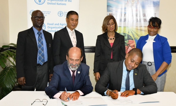 Minister of Agriculture, Fisheries and Mining, Hon. Floyd Green (right) and Food and Agriculture Organization (FAO) of the United Nations Representative for Jamaica, The Bahamas and Belize, Dr. Crispim Moreira (left) sign the letter of agreement for improving Rural Livelihoods Through Resilient Agri-Food Systems project during the launch ceremony held on October 3 at the Jamaica Pegasus hotel in New Kingston. Observing the proceedings are  (from left, back row): Chief Executive Officer, Rural Agricultural D