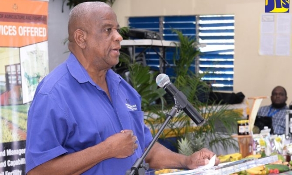 State Minister in the Ministry of Agriculture, Fisheries and Mining, Hon. Franklyn Witter.