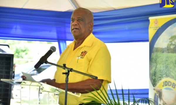 State Minister in the Ministry of Agriculture, Fisheries and Mining, Hon. Franklin Witter, delivers the keynote address at a ceremony to commemorate World Milk Day on Thursday (June 1) at the Sydney Pagan STEM Academy in St Elizabeth.