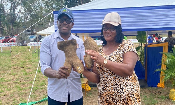 Minister of Agriculture and Fisheries, Hon. Pearnel Charles Jr, receives yellow yam from Jamaica Agricultural Society Thompson Town Branch member, Althea Pryce, at the official launch of the Hague Agricultural and Livestock Show in Trelawny on Wednesday, February 8, 2023.