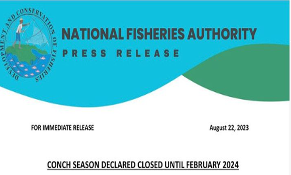 The Conch Close season runs from August 8, 2023 to February 29, 2024. During this period, the fishing of conch is strictly prohibited. 