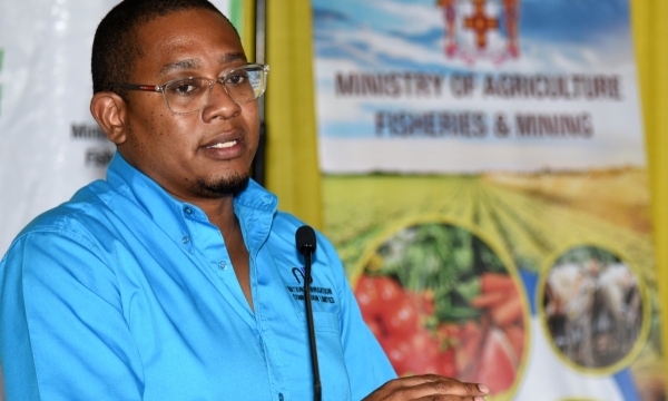 Minister of Agriculture , Fisheries and Mining, Hon. Floyd Green.
