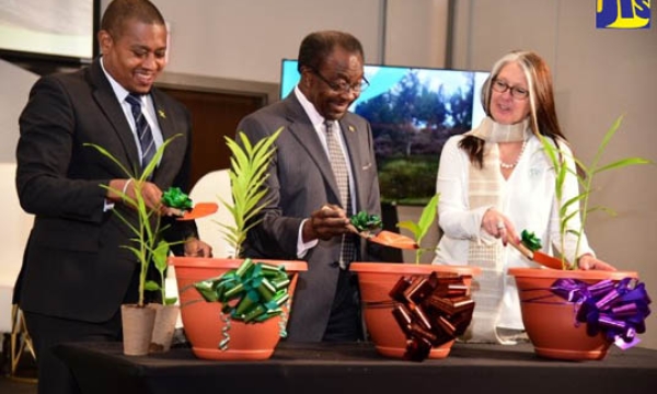 Minister of Agriculture, Fisheries and Mining, Hon. Floyd Green (left), plants spice seedlings along with United States Ambassador to Jamaica, His Excellency Nick Perry (centre), and President and Chief Executive Officer, Agricultural Cooperative Development International/Volunteers in Overseas Cooperative Assistance (ACDI/VOCA), Sylvia Megret. Occasion was the launch of the Food for Progress Jamaica Spices project at the AC Hotel by Marriott Kingston on Thursday (June 1).